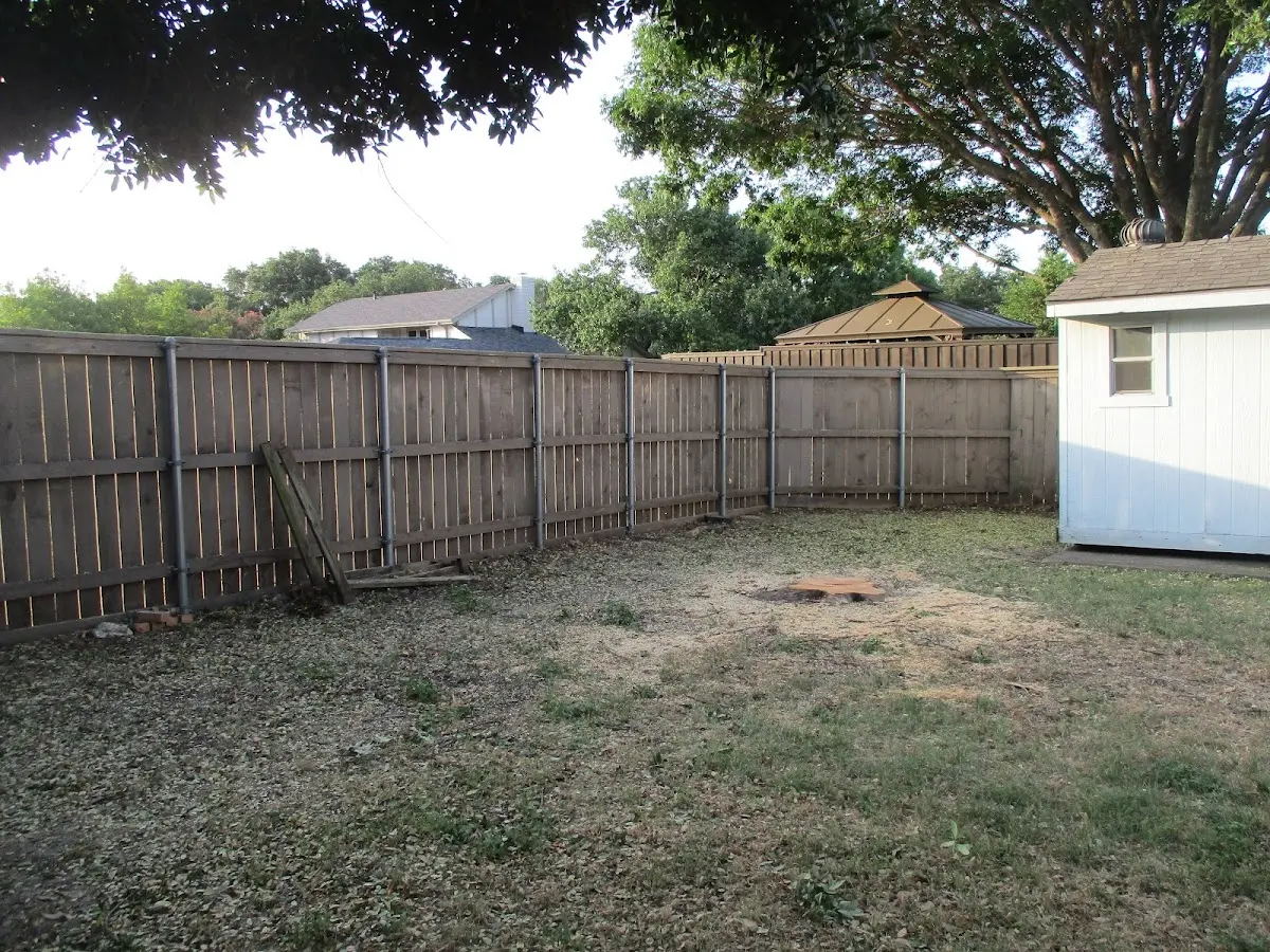 Cleared yard after professional tree removal in South Bloomingville
