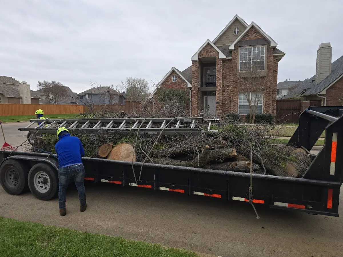 Expert Crown Reduction with proper safety equipment in South Bloomingville